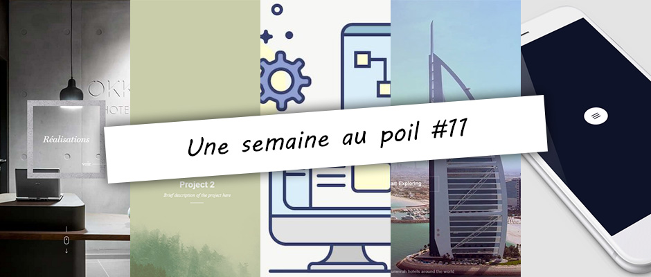 Illustration de la semaine au poil #11