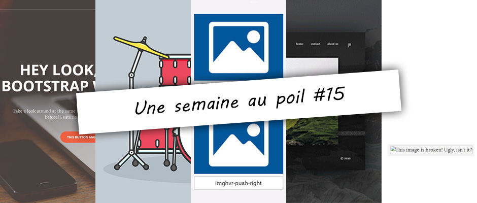 Illustration de la semaine au poil #15