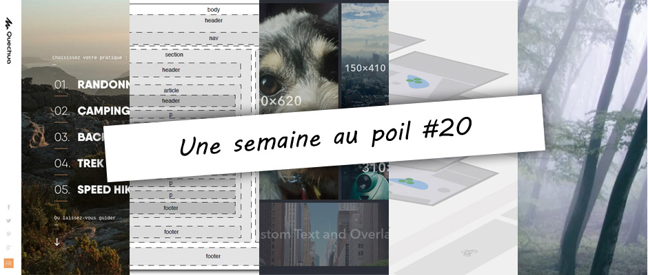 Illustration de la semaine au poil #20