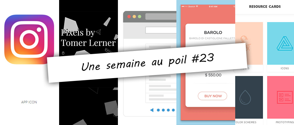 Illustration de la semaine au poil #23