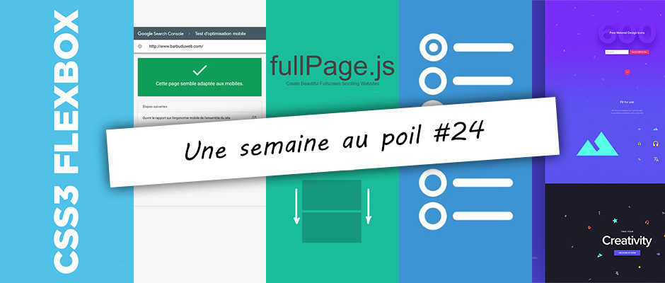 Illustration de la semaine au poil #24
