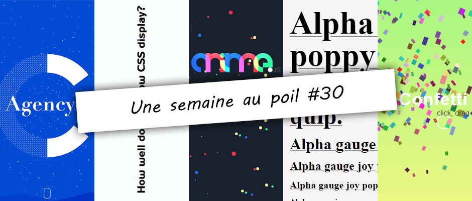 Illustration de la semaine au poil #30